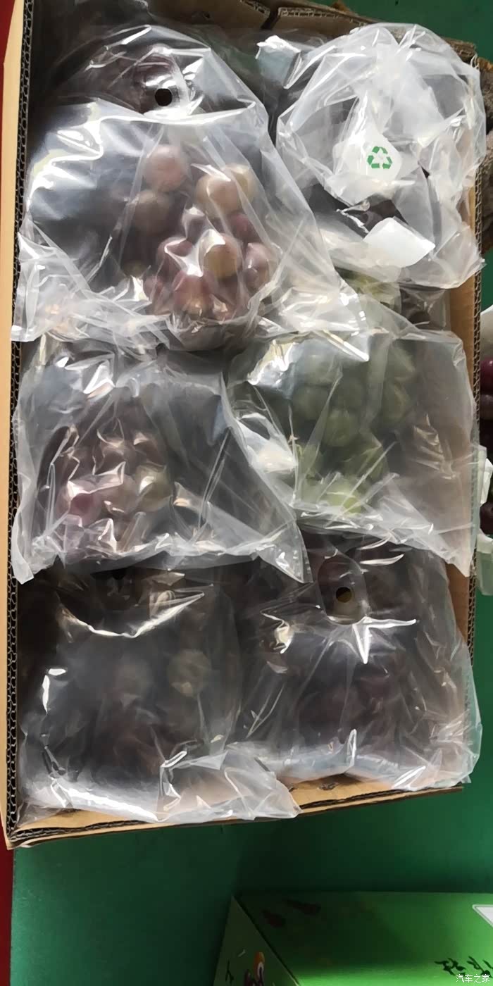 葡萄成熟季了