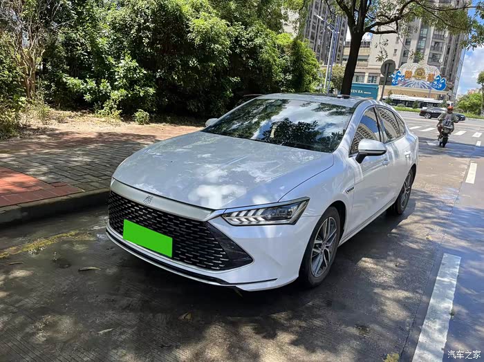 【图】简单幸福从陪伴开始,byd小秦带上家人开启美好!