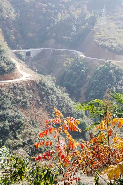 属亚热带季风温润气候,四季分明---五权镇随拍.