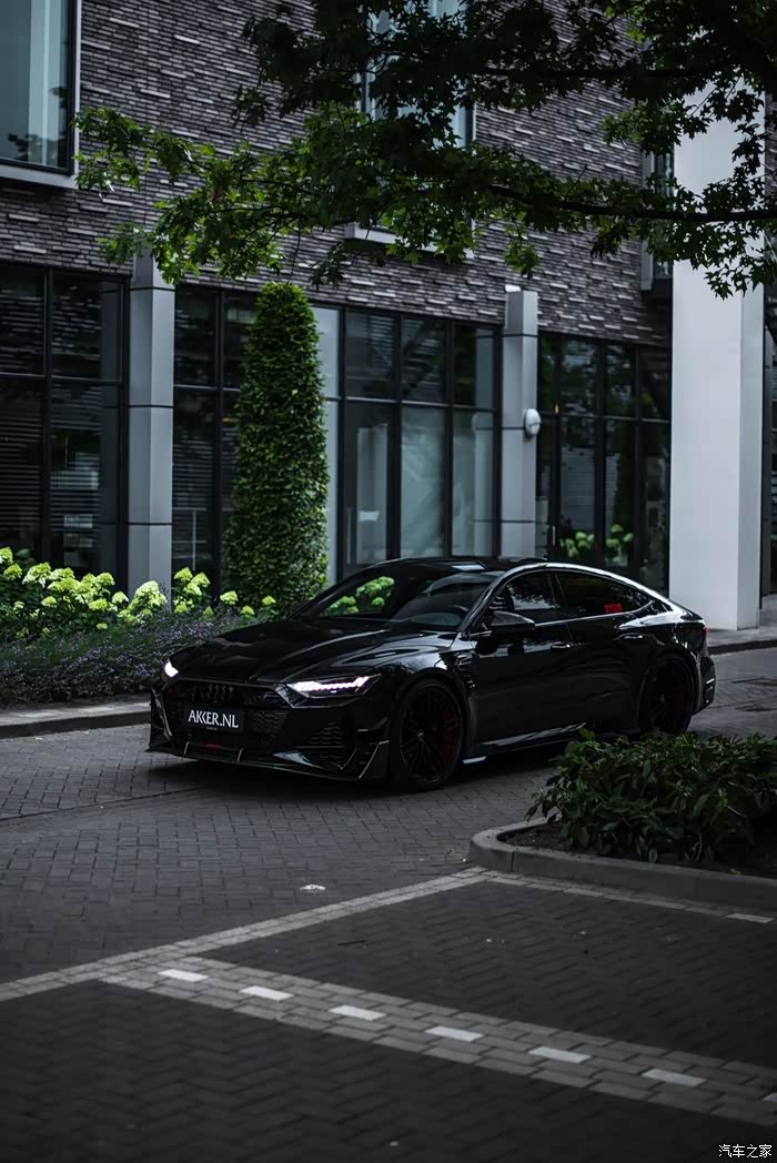 abtaudirs7r陆地上的霸气猛兽