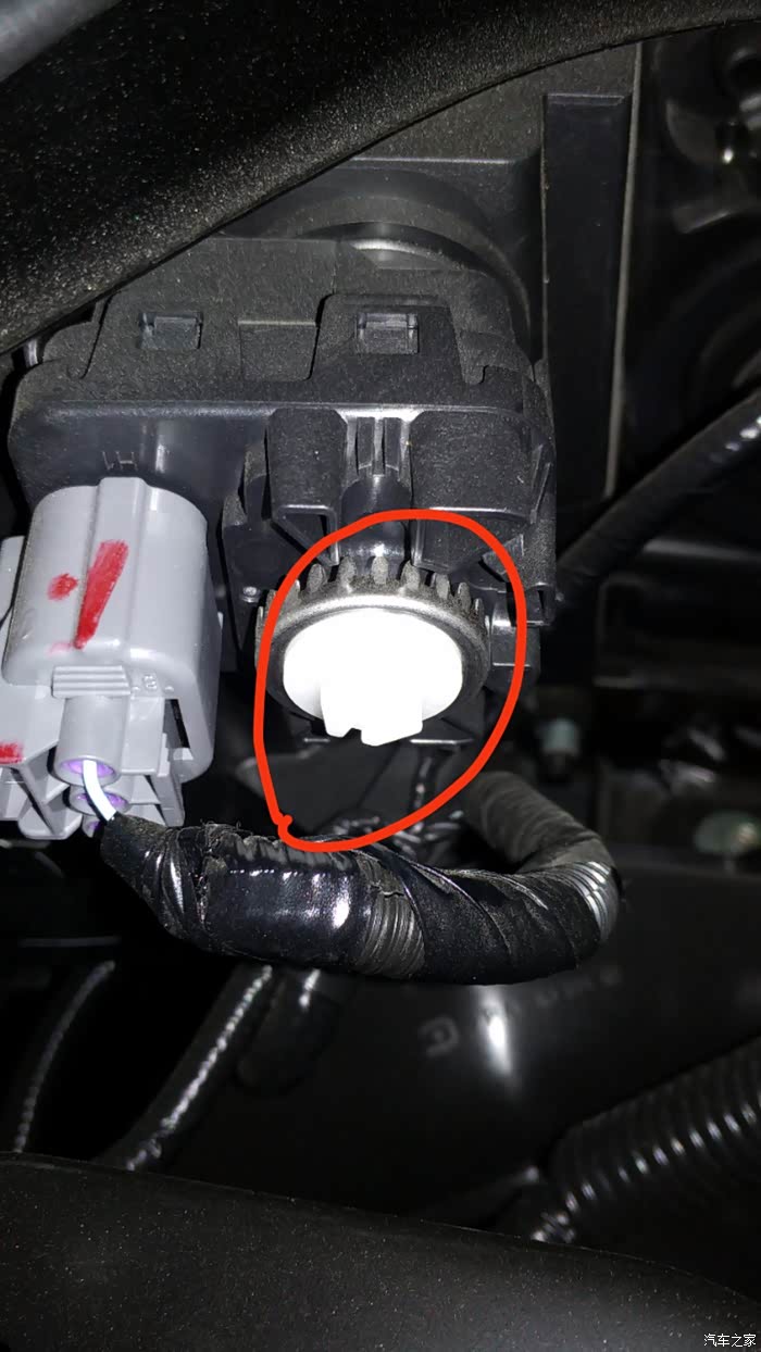 求助十代雅阁大灯高度在哪里调节呀