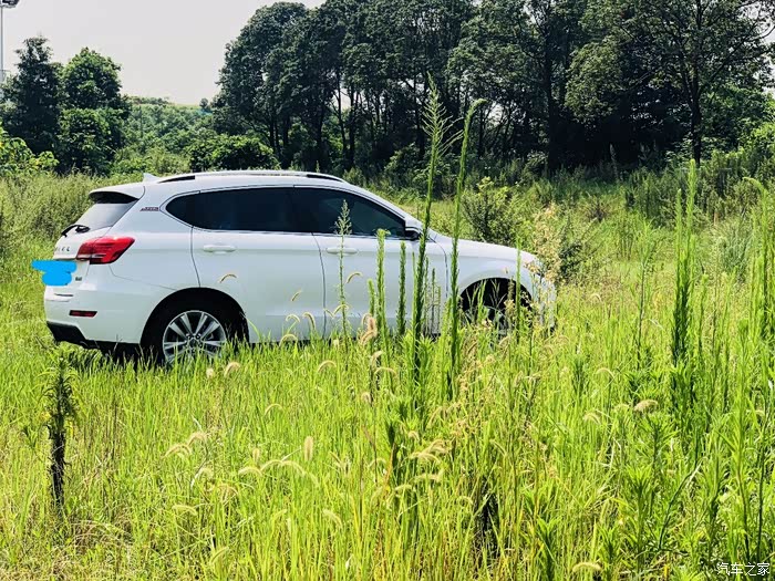 二哈金港赛道草地越野体验