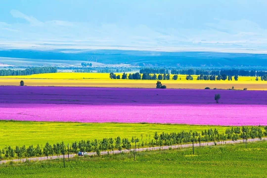 塞外江南伊犁风景美的迷死人了