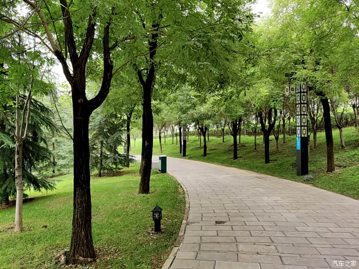 【图】烟雨之中的诗意美景 驾雷凌游西安红光公园_雷凌论坛_汽车之家