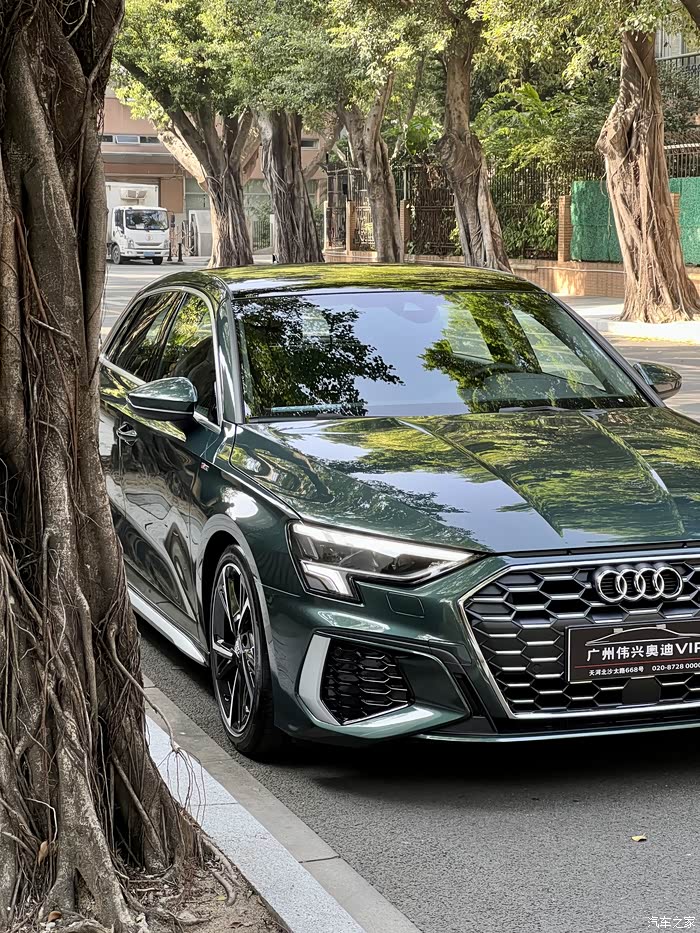 哥特兰绿小进化