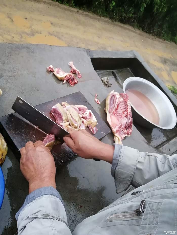姑爷宰鸭,这个鸭肉也挺肥厚的