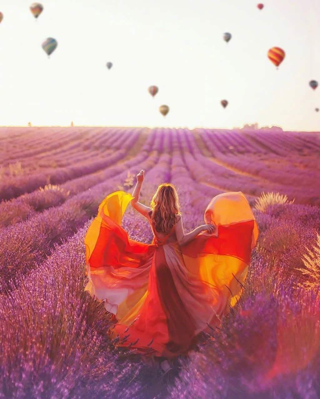 法国普罗旺斯,深吸一口气,那是生命的芬芳