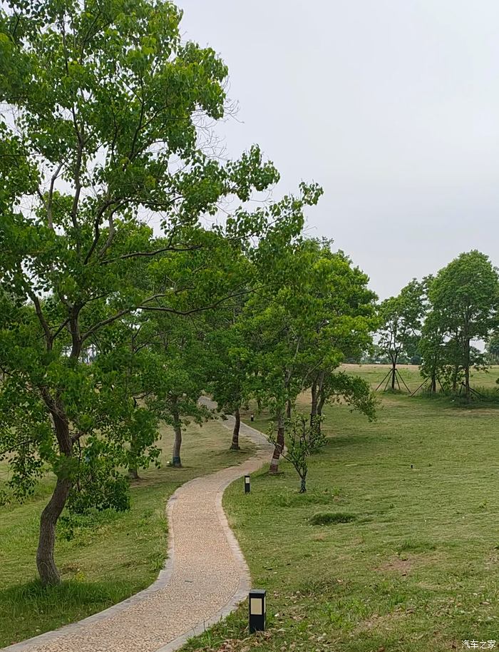 江夏区黄家湖湿地公园图片