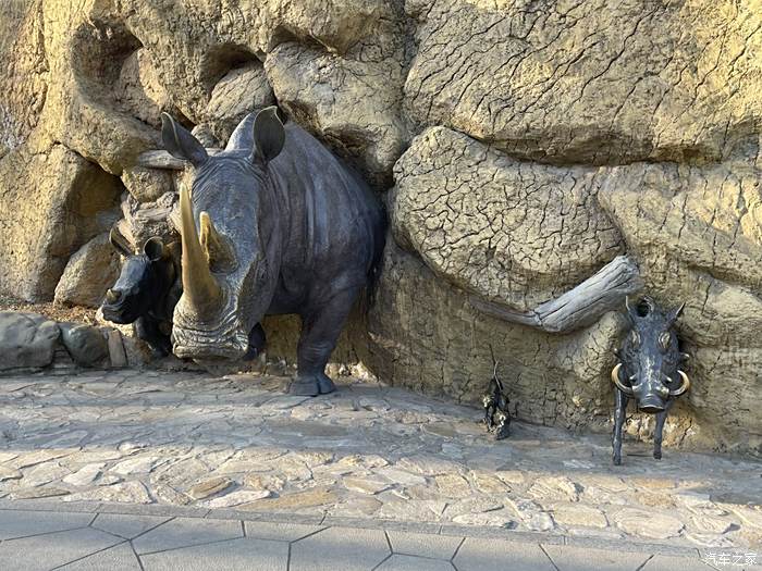 红山动物园犀牛馆图片
