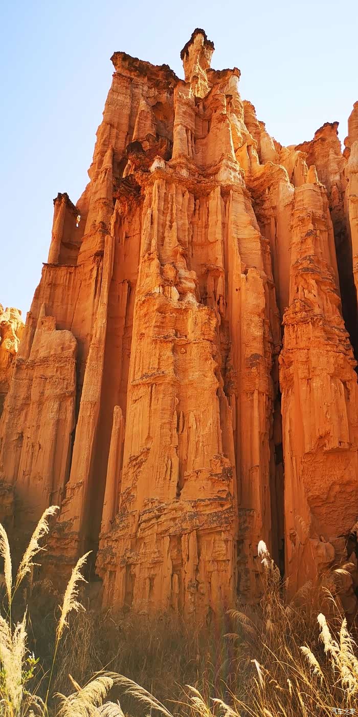 2019春节游东方阳光谷米易