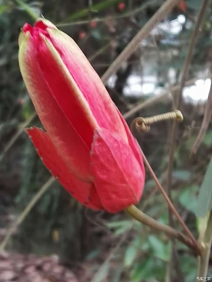 驾mux游川桂黔滇