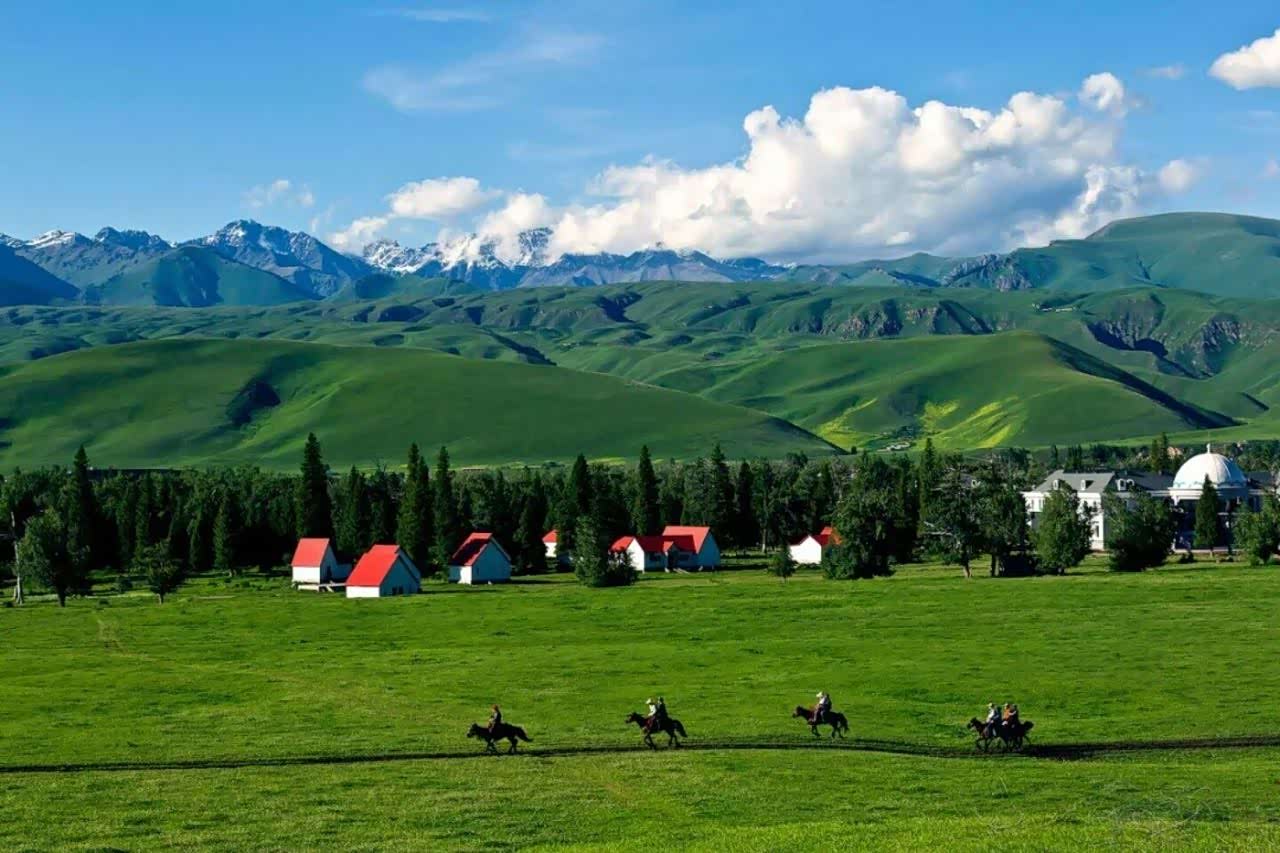 【图】有人说,北疆看风景,南疆看风情._arrow论坛_汽车之家论坛