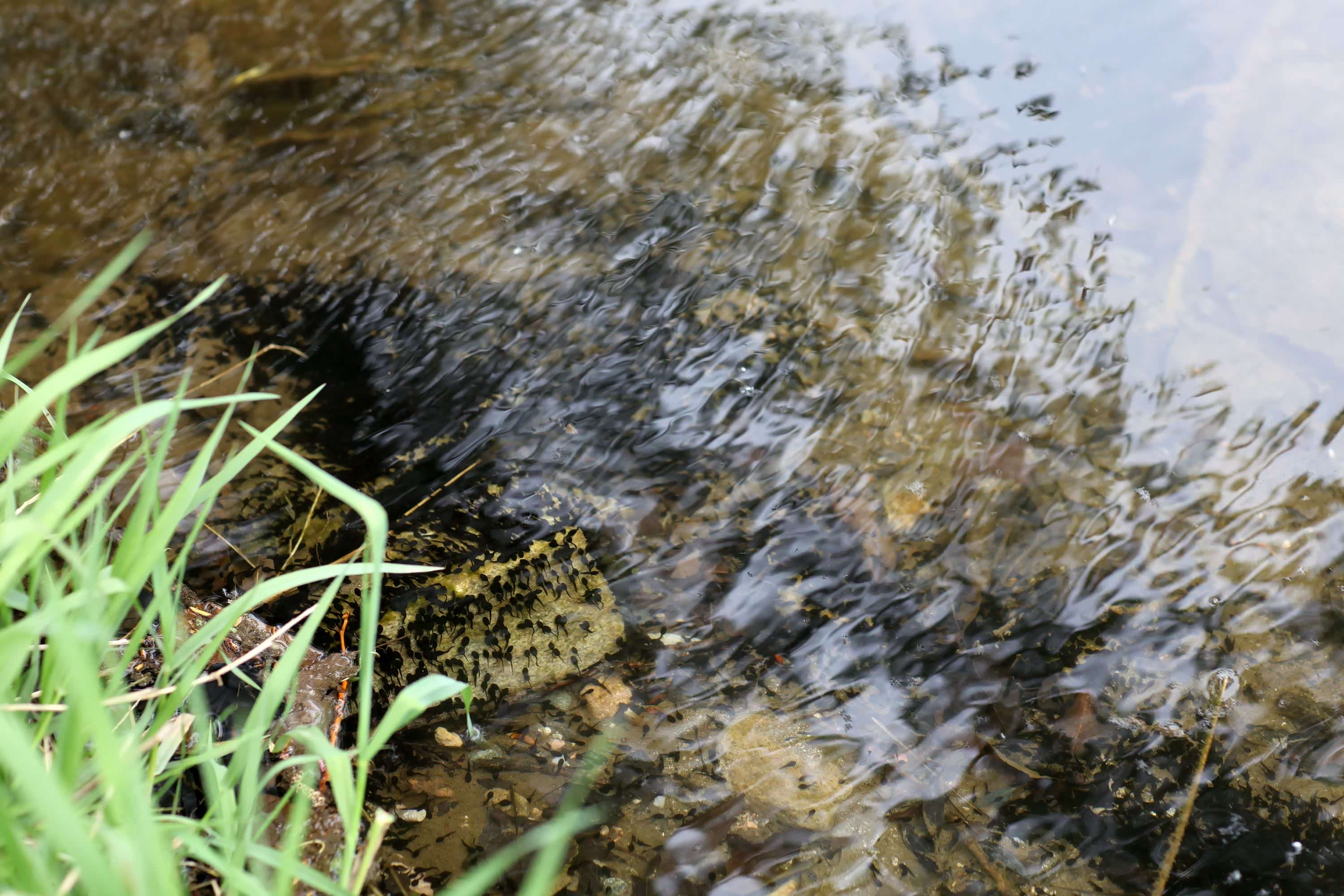 汽车之家中国站