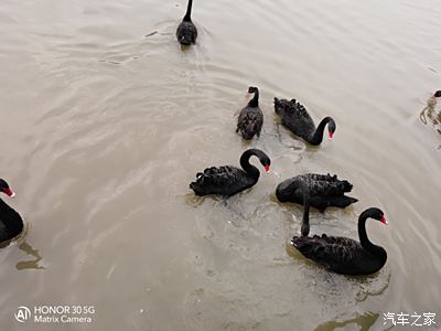 天氣不錯,逛逛濟西溼地公園