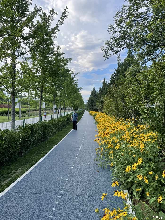 东小口城市休闲公园走一圈