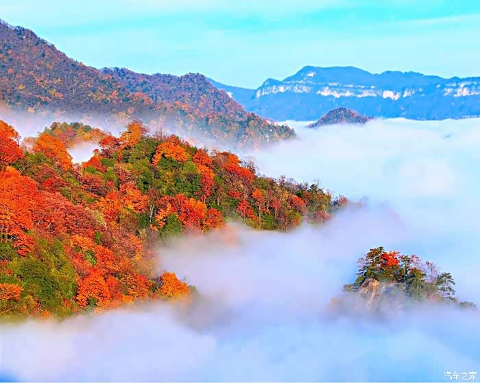 中国红叶原来在这万山红