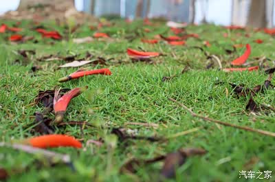 落红无情物化作春泥护花