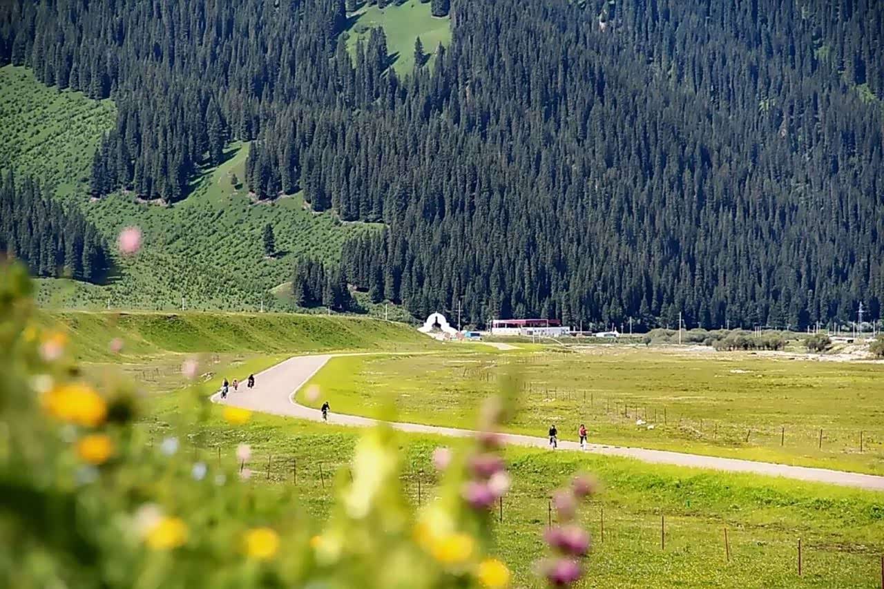 新疆伊犁巩乃斯草原四季景色俱佳