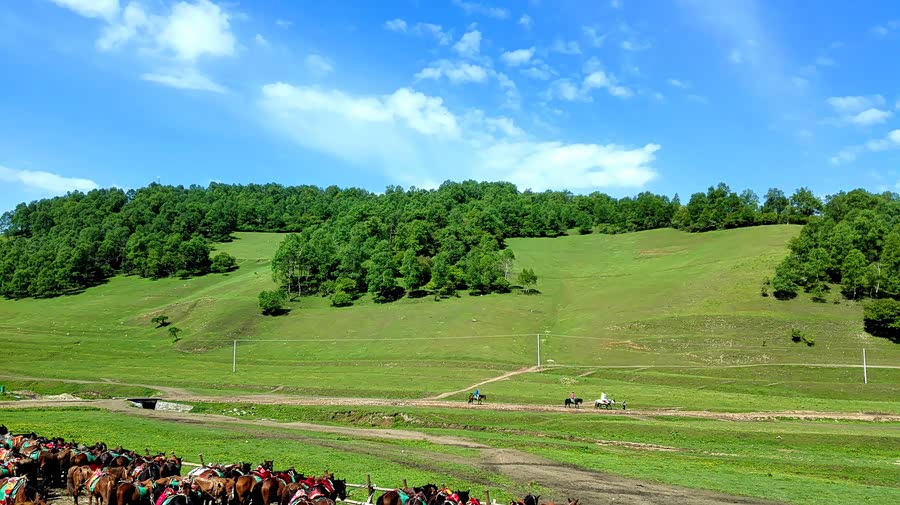 走进青青草原牧场,感受自然风景大片,绚丽多彩的牧场风景