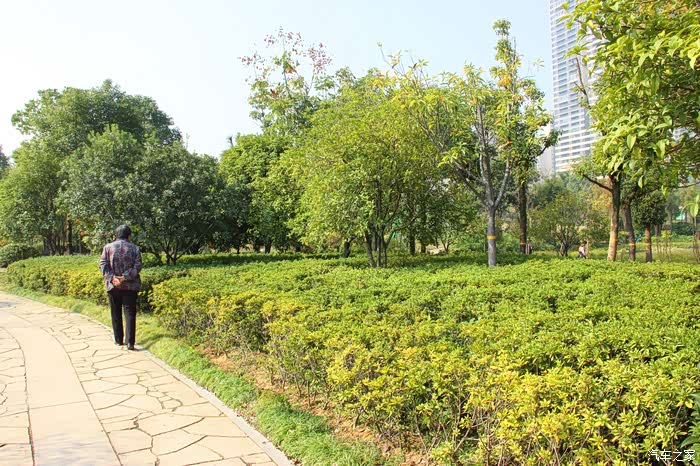 附近的居民正在公园里散步.