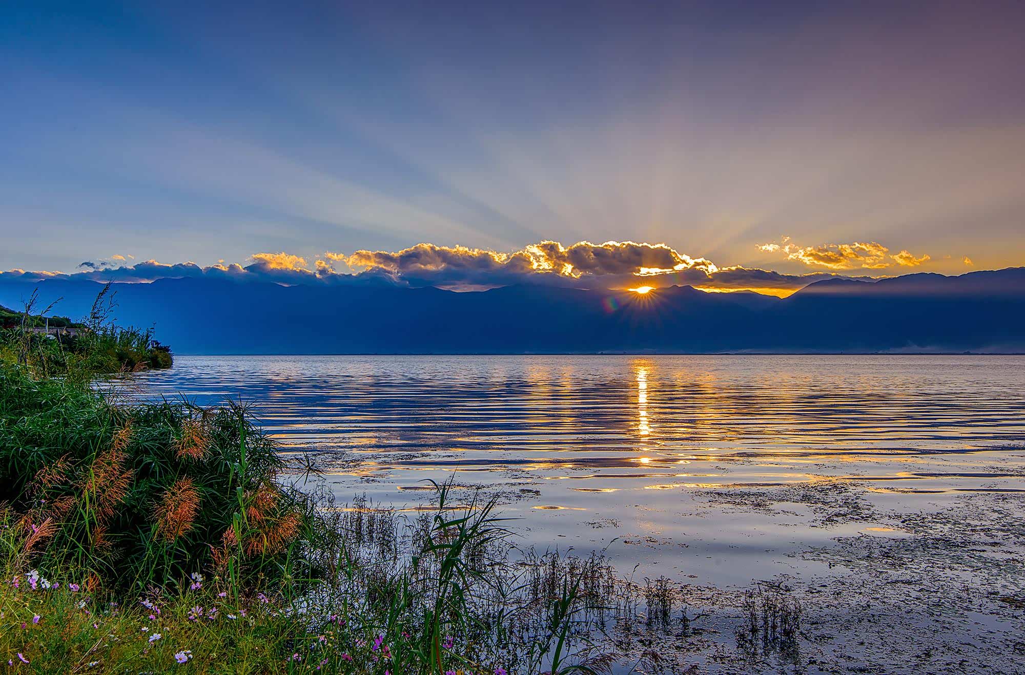 abt sq8论坛_汽车之家论坛