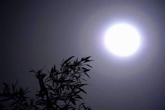 夜静江水白,路回山月斜