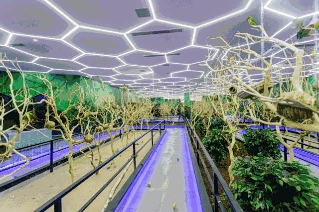 未来动物城,带孩子一起上演现实版疯狂动物城