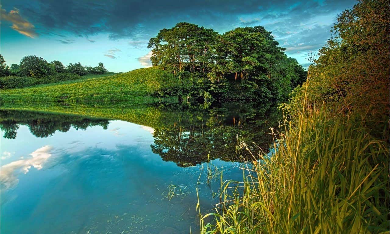 树林里的空气特别新鲜,让人觉得幽雅宁静,仿佛置身于无声世界