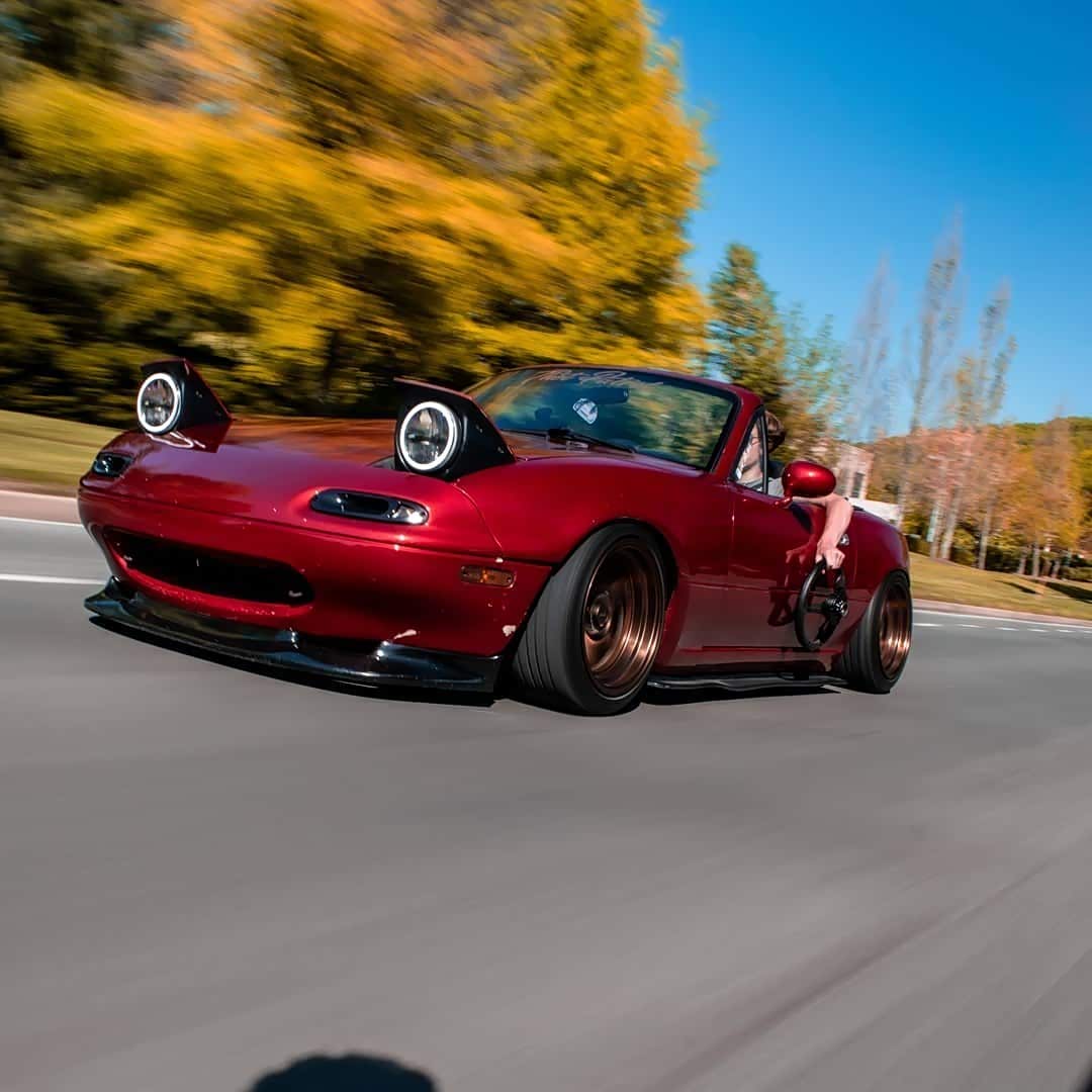 mx5大眼珠子太萌了