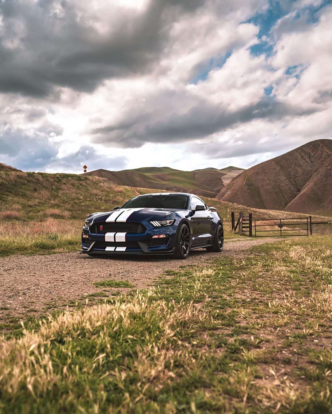 shelby gt350 r 终极眼镜蛇,福特大排自吸野马!