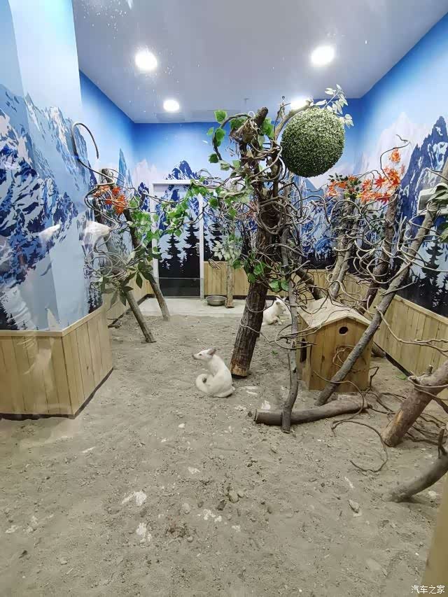 告别2021海立方星期天亲子公园