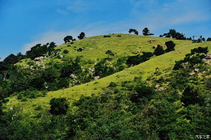 【图】临朐的云中草原,真的是绝美_山东论坛_汽车之家论坛