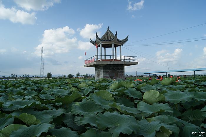 陆良白水塘风景区图片