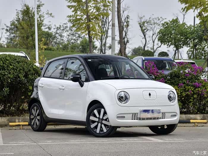 萌萌的可爱"熊猫",欧拉r1的外观我喜欢!