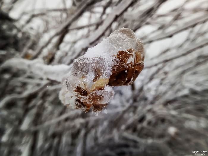 游灵秀庐山逢庐山雪如玉