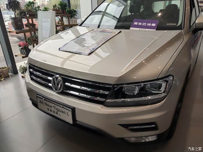 途观l冰岛银看车