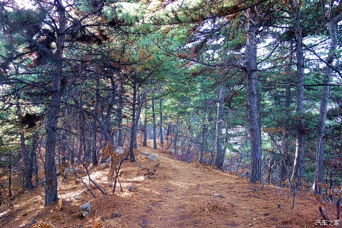 寻找小松鼠之喂松鼠游记自驾铁岭人民公园