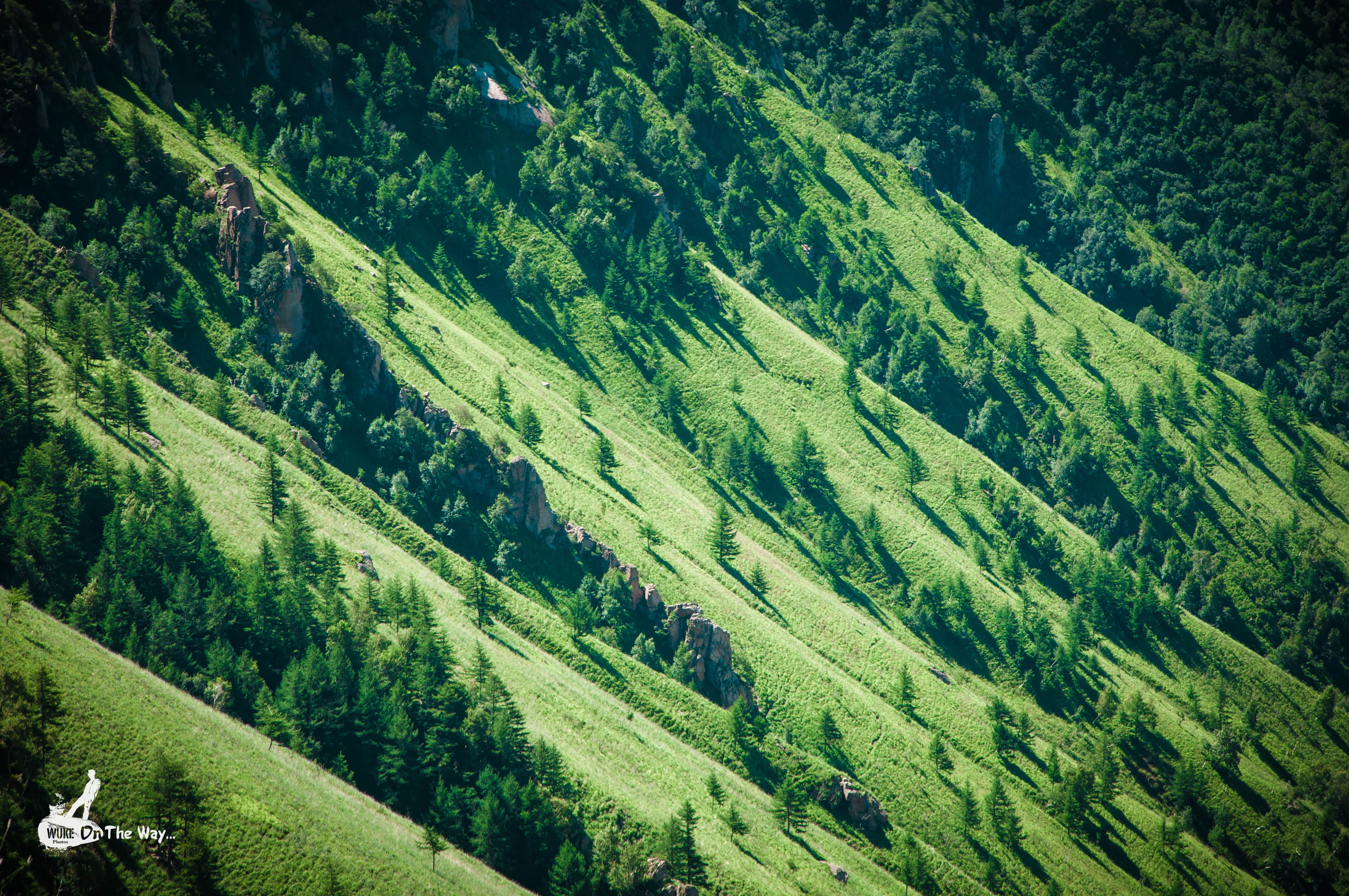 星光洒满的茶山,如此的清澈高远