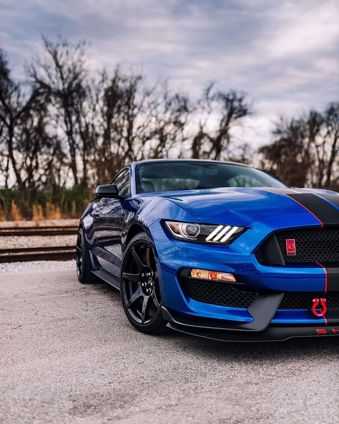 一枚超级帅气的野马,喜欢吗?