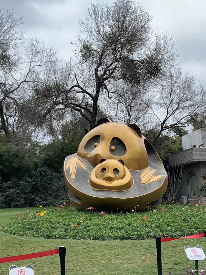 出去走走是好事,看看世界有多大