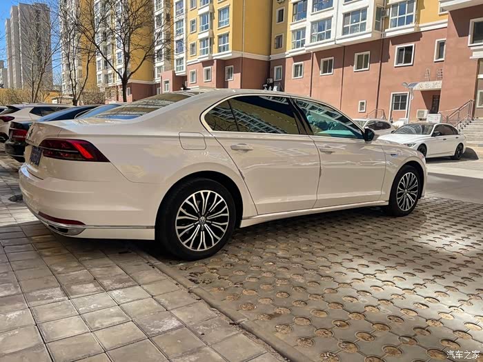 19年白色会辉昂