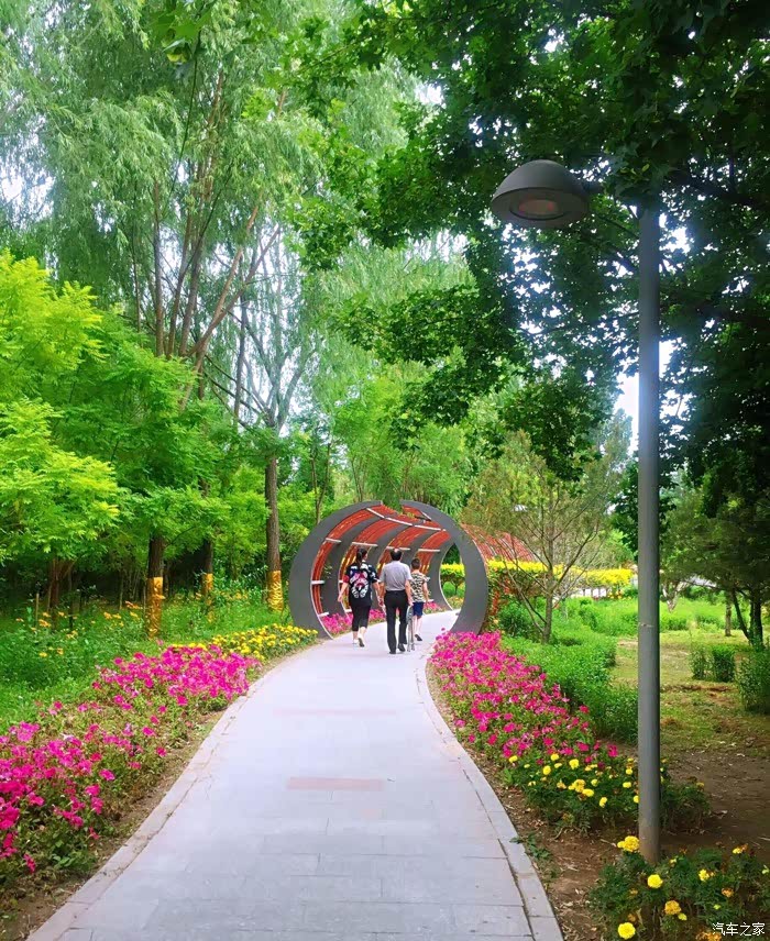 周末约会小7游公园徐徐微风舒适惬意