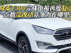 【众泰t300】众泰_众泰t300报价_众泰t300图片_汽车之家