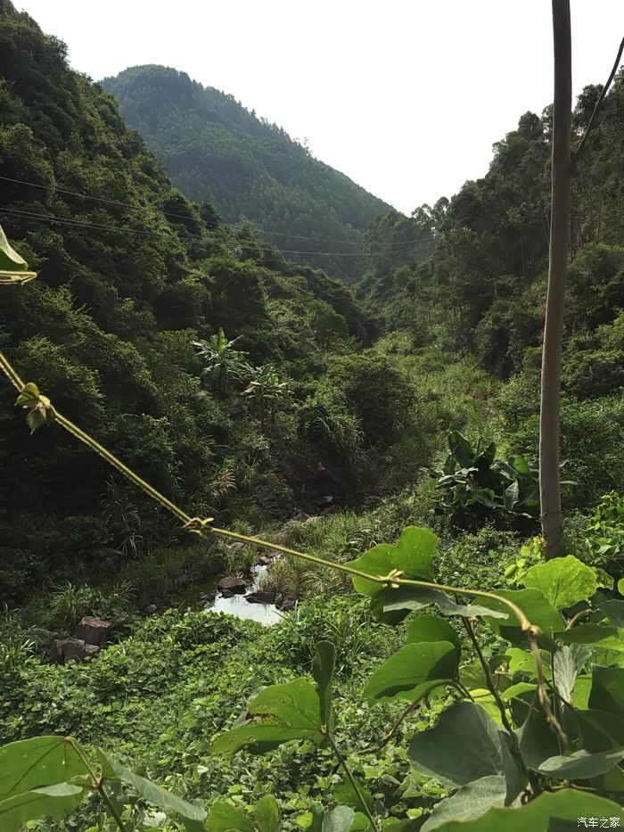 普宁摩天石风景区兰花谷