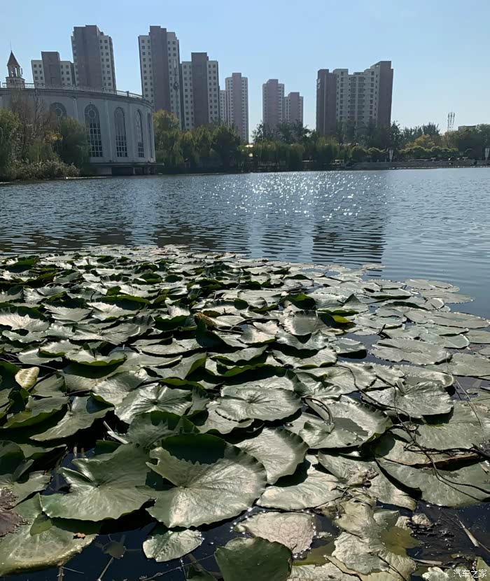 值得游玩的二宫公园