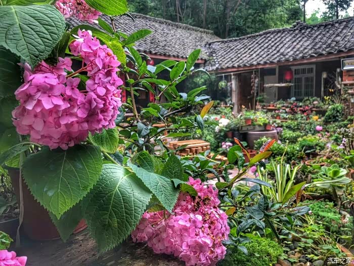 美食美景不可辜负大红唐带我领略青神木言兰舍与东坡水街申精