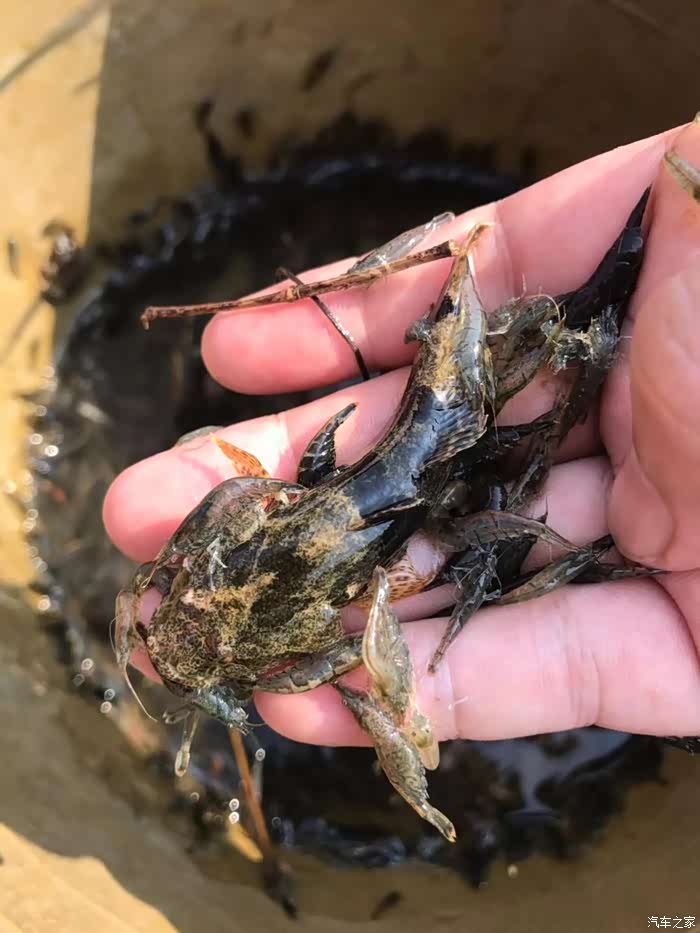 小虾和小鱼