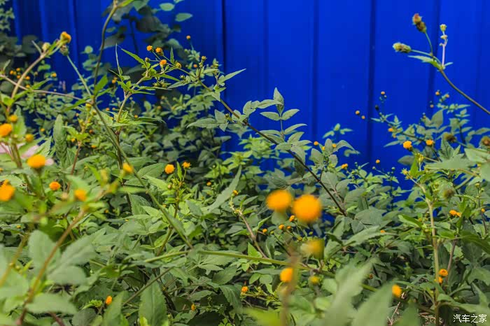 《阜阳缤越车友圈》为颜值买单,为什么缤越让