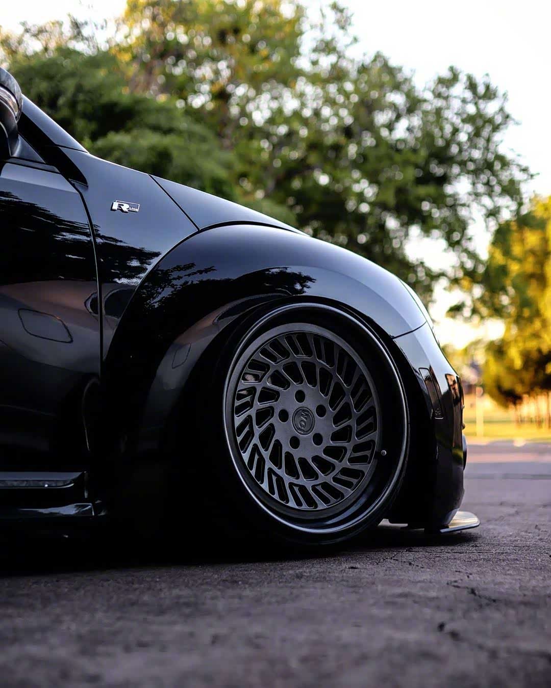 一枚漂亮的黑色甲壳虫