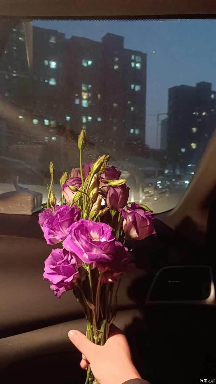 谁的副驾还没有一个小可爱呢美美的鲜花结束一天的疲劳